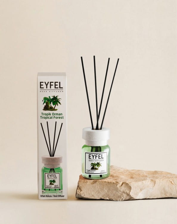 TropicalForest-001-3F6A7984.jpg