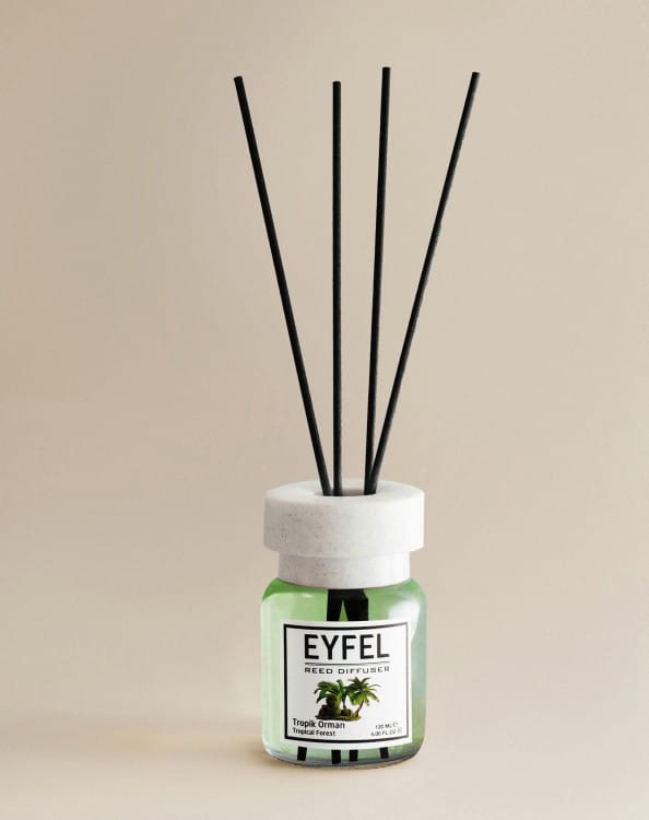 TropicalForest-003-3F6A7984.jpg