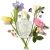 3.webp