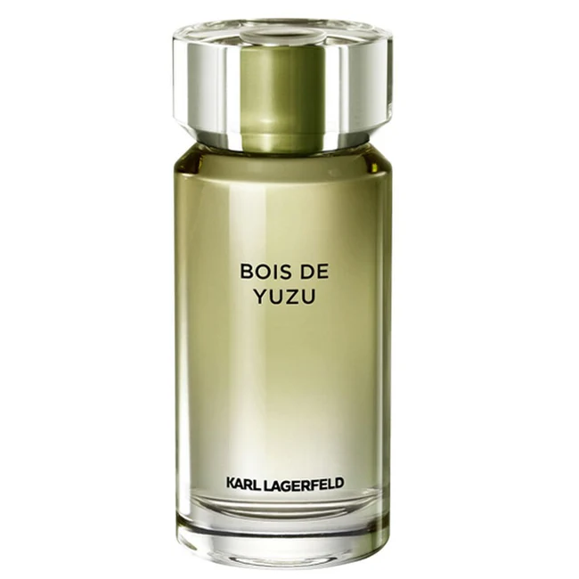 45058031704782316.webp