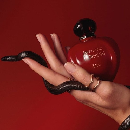 hypnotic-poison-dior-eau-de-toil-2df0a5b53fdb2e80e116987644500931-1024-1024.jpg